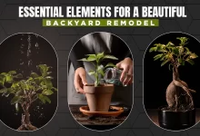 essential elements for a beautiful backyard remodel