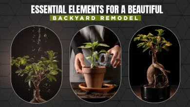 essential elements for a beautiful backyard remodel