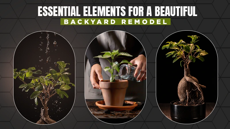 essential elements for a beautiful backyard remodel